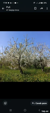 Digər Kommersiya Əmlakı Satılır