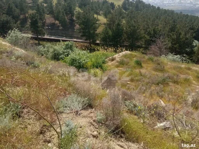 Torpaq sahəsi Satılır