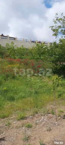 Həyət/Bağ Evi, Villa Kirayə verilir