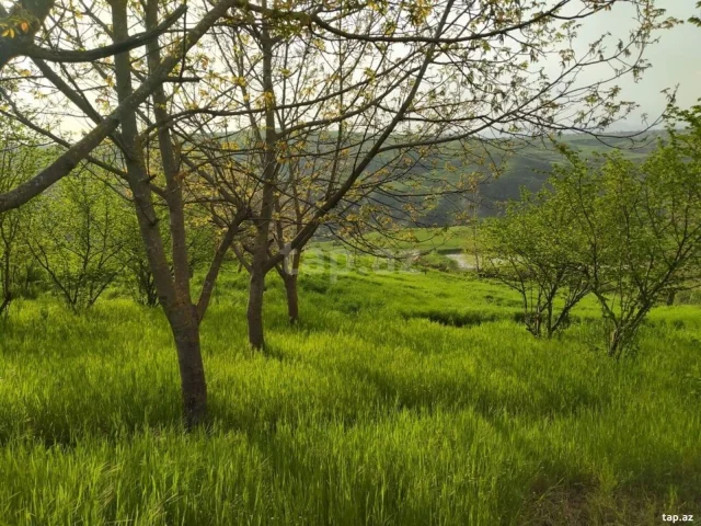 Torpaq sahəsi Satılır