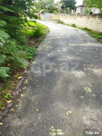 15 sot torpaq sahəsi, Masallı r.