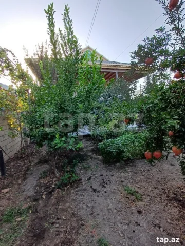 Həyət/Bağ Evi, Villa Satılır