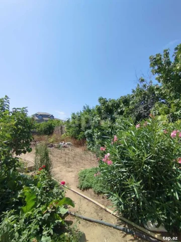 Torpaq sahəsi Satılır