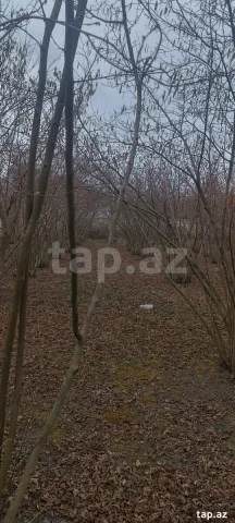 Torpaq sahəsi Satılır
