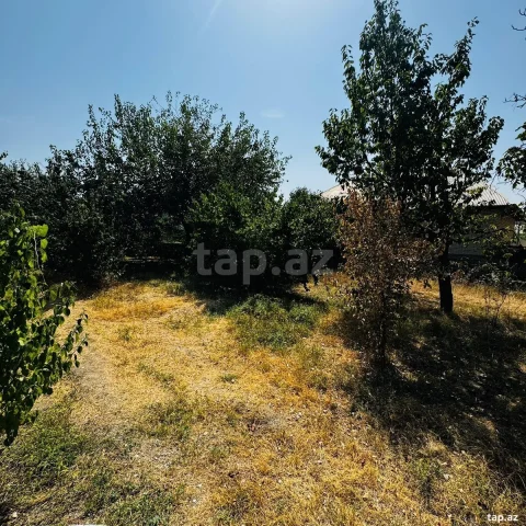 5 sot torpaq sahəsi, Şəki ş.