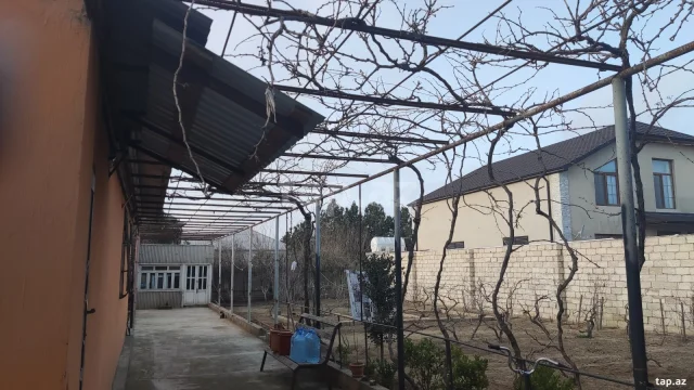 Torpaq sahəsi Satılır