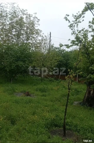 Torpaq sahəsi Satılır