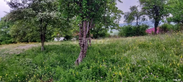 Torpaq sahəsi Satılır
