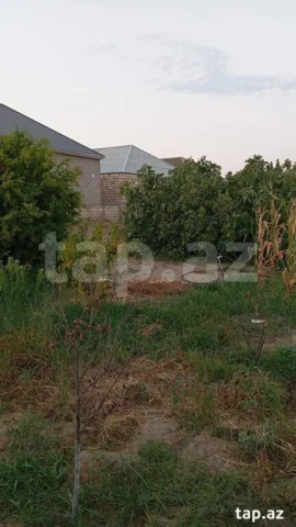 5 sot torpaq sahəsi, Bilgəh qəs.