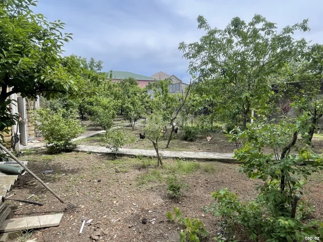 Bağ evi, Novxanı qəs.