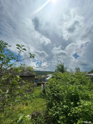 Torpaq sahəsi Kirayə verilir