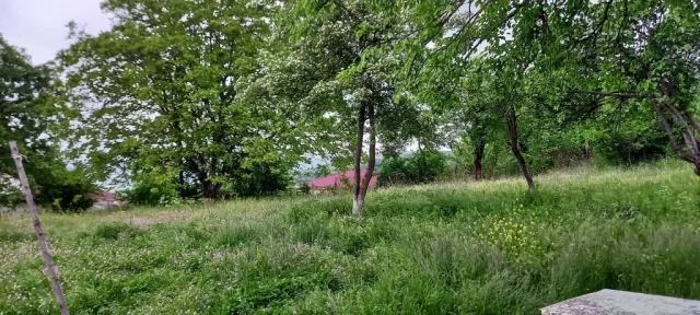 Torpaq sahəsi Satılır