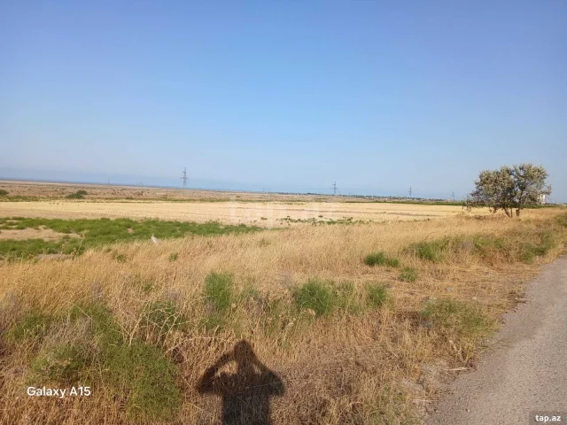 1.39 sot torpaq sahəsi, Şabran r.