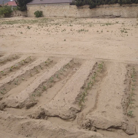 Torpaq sahəsi Satılır