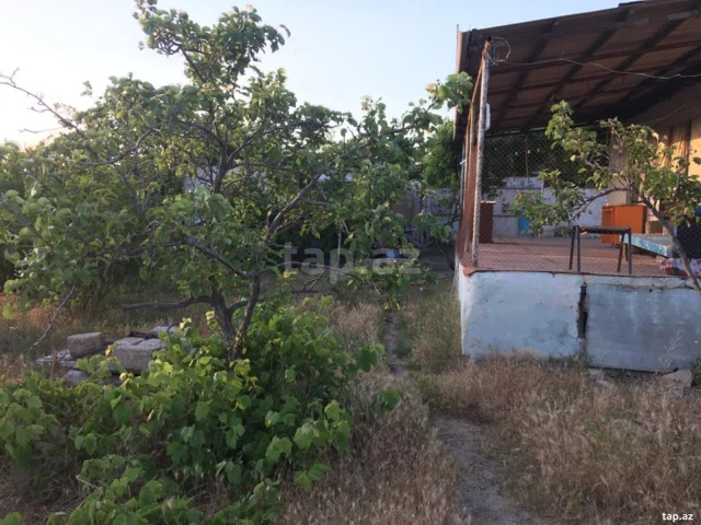 11 sot torpaq sahəsi, Novxanı qə...