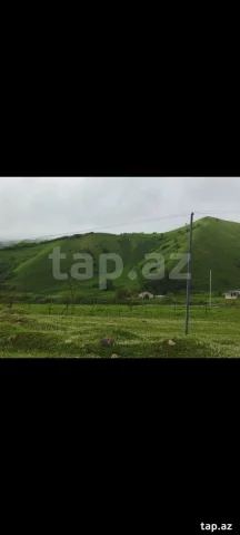 Torpaq sahəsi Kirayə verilir