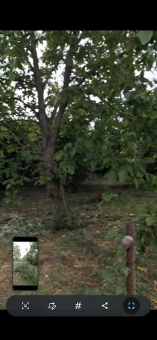 Torpaq sahəsi Satılır