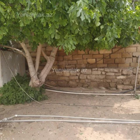 Torpaq sahəsi Satılır