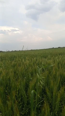 Torpaq sahəsi Satılır