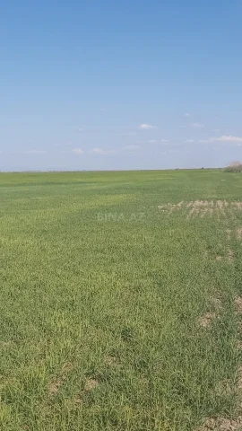 Torpaq sahəsi Satılır