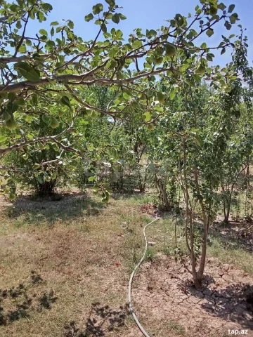 Həyət/Bağ Evi, Villa Satılır