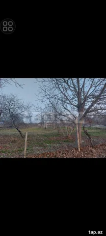 Torpaq sahəsi Satılır