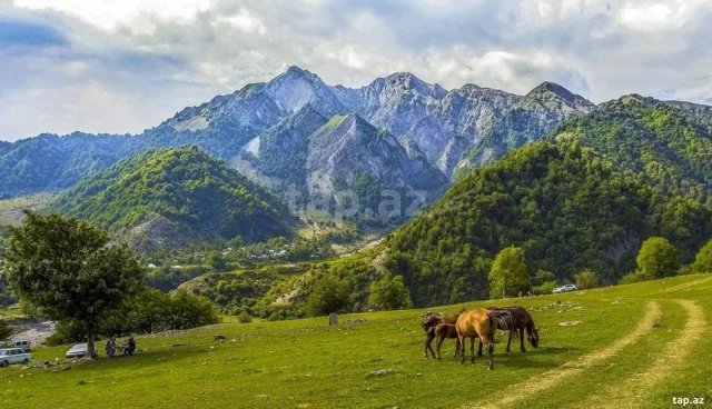 3 sot torpaq sahəsi, Qəbələ ş.
