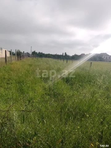5 sot torpaq sahəsi, Ziyadlı kən...