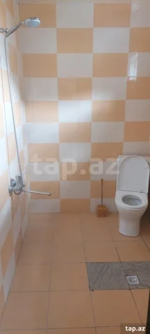 Həyət evi kirayə verilir, Qax r.