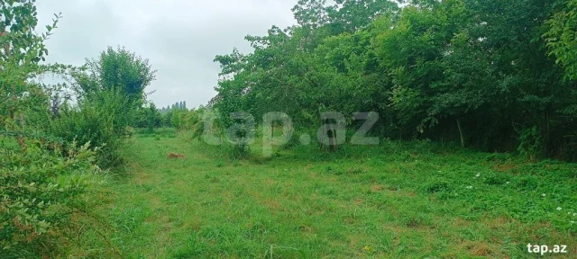 150 sot torpaq sahəsi, Zaqatala r.