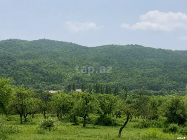 Torpaq sahəsi Satılır