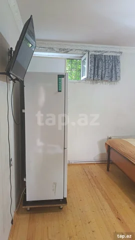Həyət evi kirayə verilir, Saray ...