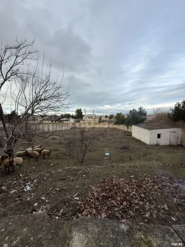 Torpaq sahəsi Satılır