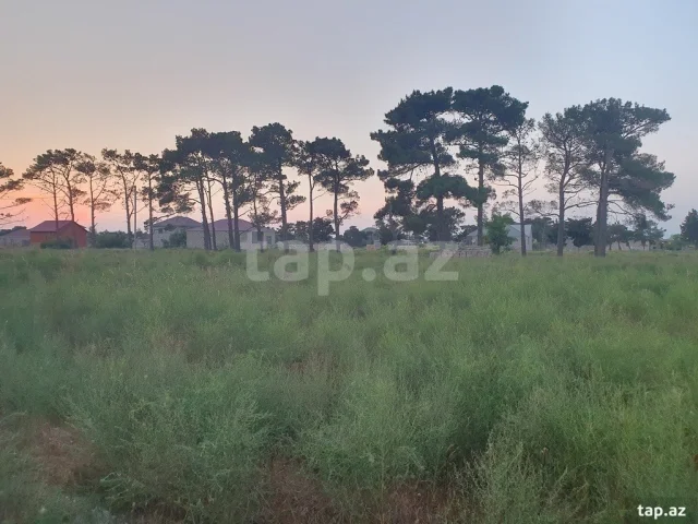 Torpaq sahəsi Satılır