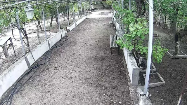 Torpaq sahəsi Satılır