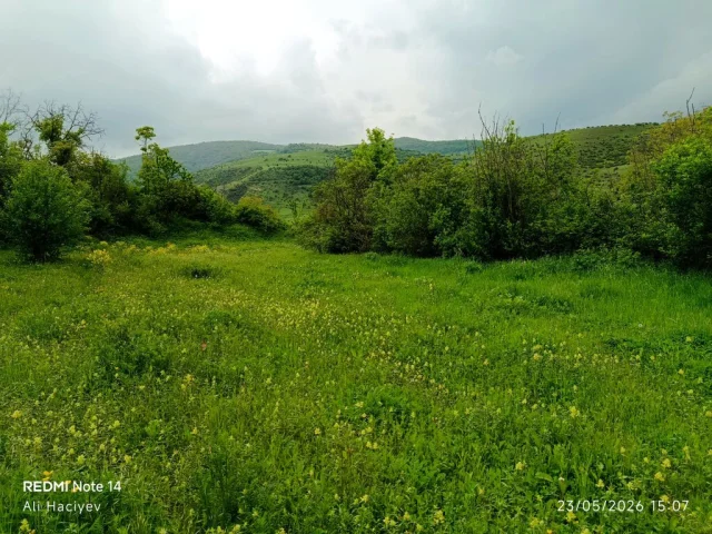 Torpaq sahəsi Satılır