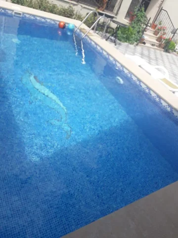 Həyət/Bağ Evi, Villa Kirayə verilir