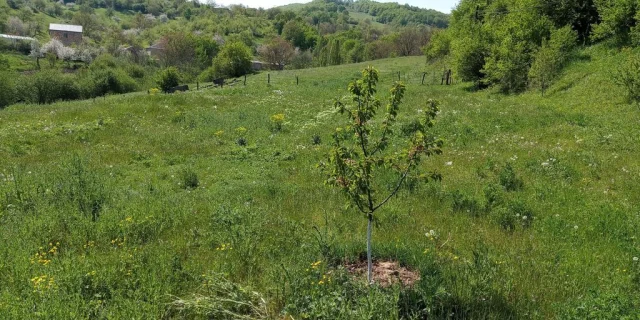 Torpaq sahəsi Satılır