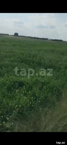 Torpaq sahəsi Satılır