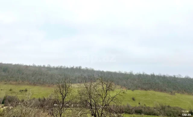 Həyət evi kirayə verilir, Qusar ...