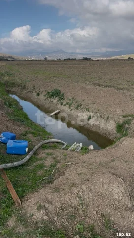 100 sot torpaq sahəsi, Şamaxı r.