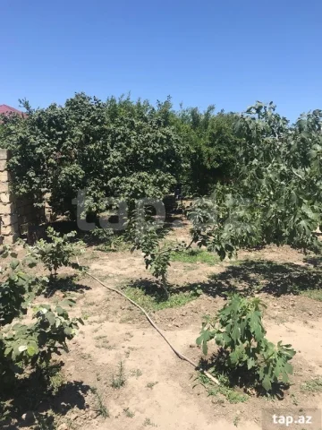 5 sot torpaq sahəsi, Sulutəpə q�...