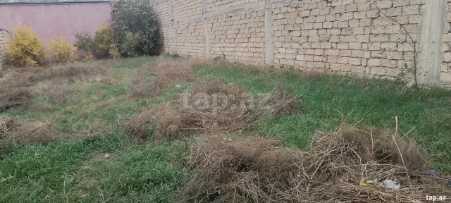 Torpaq sahəsi Satılır