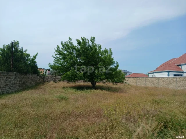 12 sot torpaq sahəsi, Nardaran qə...