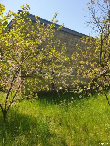 Torpaq sahəsi Satılır