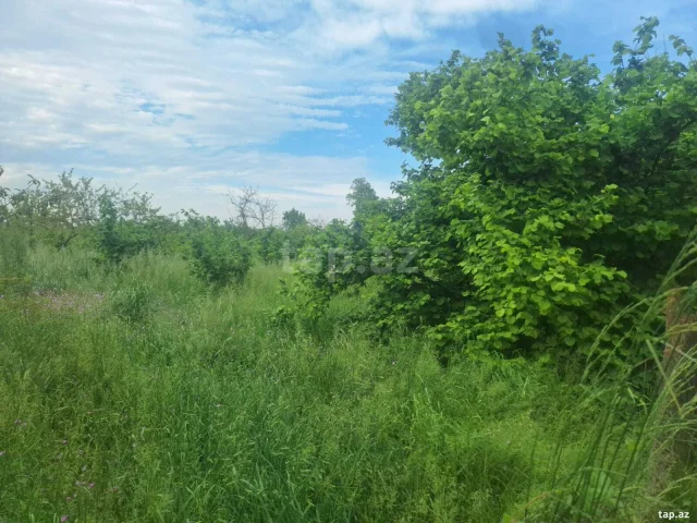 Torpaq sahəsi Satılır