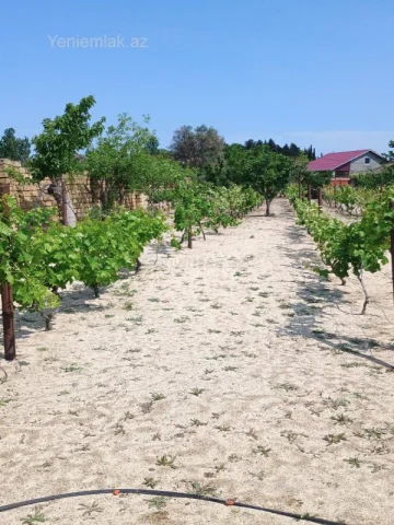 Torpaq sahəsi Satılır