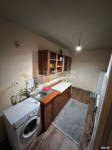 Həyət evi kirayə verilir, Elmlə...