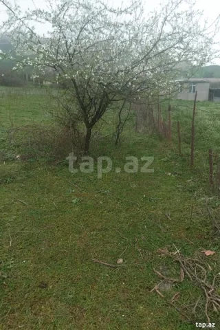 Torpaq sahəsi Satılır