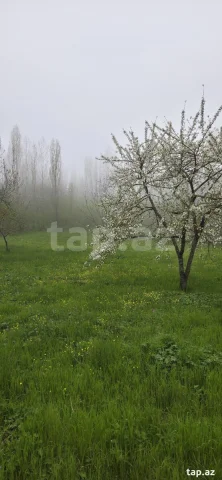 30 sot torpaq sahəsi, Qusar r.